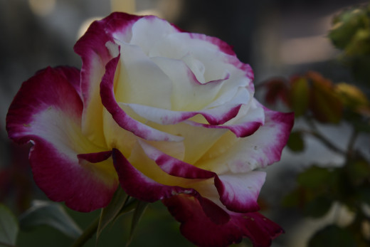 �1759503 �������(a): ����������:1920x1280